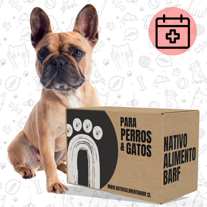 PACK 5Kg MONOPROTEICA VACUNO 500g  (PERROS ALERGICOS)