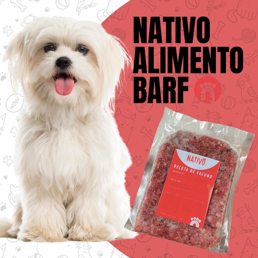 PACK 5Kg RECETA BALANCEADA  VACUNO PARA PERROS NATIVO