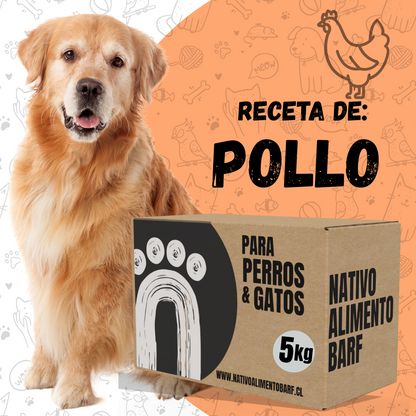 PACK 5Kg RECETA BALANCEADA POLLO PARA PERROS NATIVO