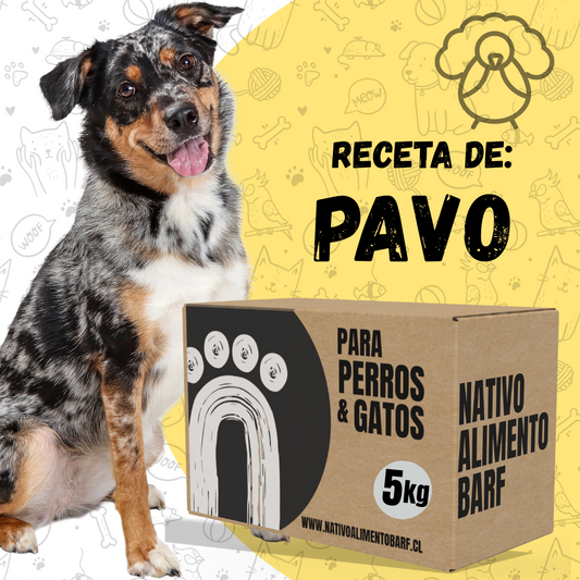 PACK  5Kg RECETA BALANCEADA PAVO PARA PERROS NATIVO