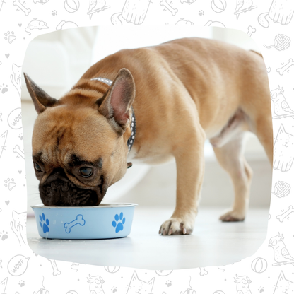PACK 5Kg MONOPROTEICA VACUNO 500g  (PERROS ALERGICOS)