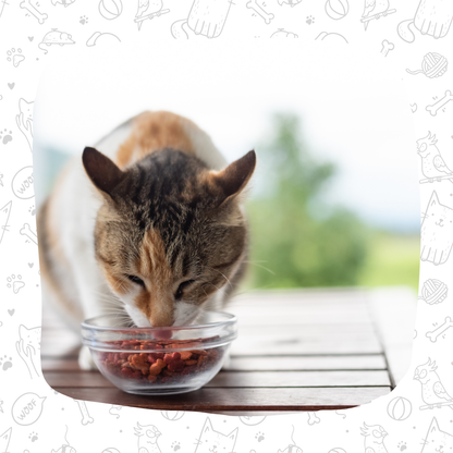 PACK 4Kg RECETA BALANCEADA PARA GATOS NATIVO